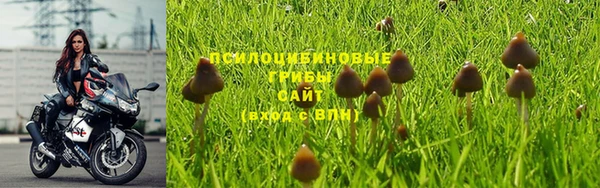 ECSTASY Каменск-Шахтинский