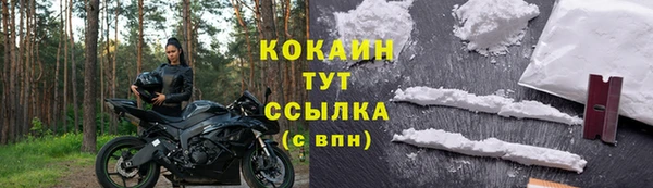 соль курить ск Каменка