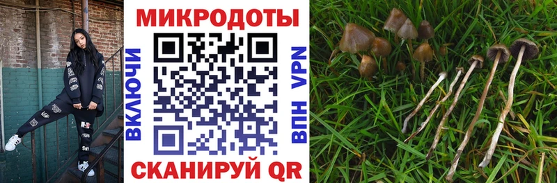 Купить закладки  Воткинск  Псилоцибиновые грибы Magic Shrooms 